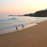 Natural Grey Apartment