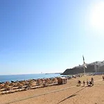 Natural Grey البوفيرا