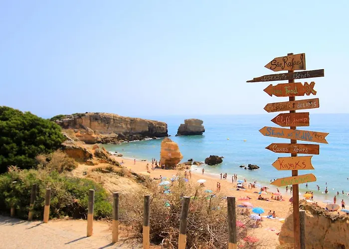 Natural Grey * アルブフェイラ