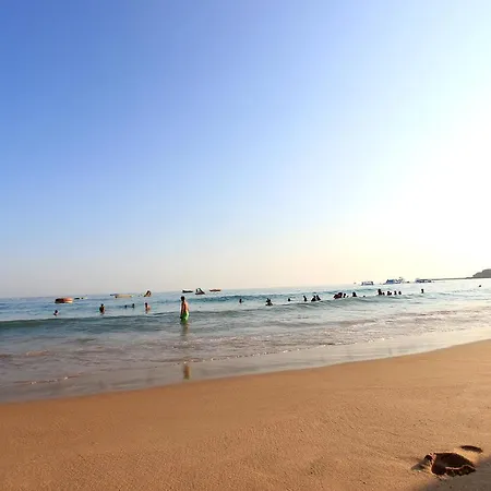 Natural Grey شقة البوفيرا