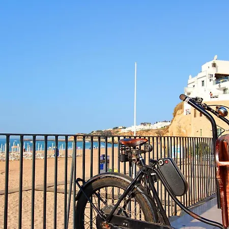 Natural Grey البوفيرا