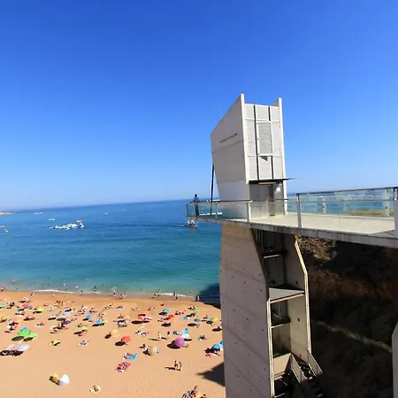 Natural Grey البوفيرا