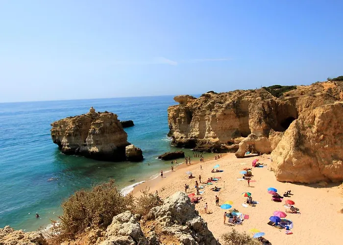 Natural Grey Apartment *